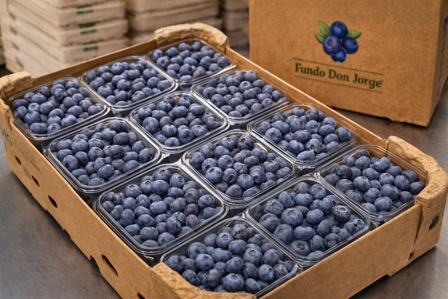Empaque de arándanos